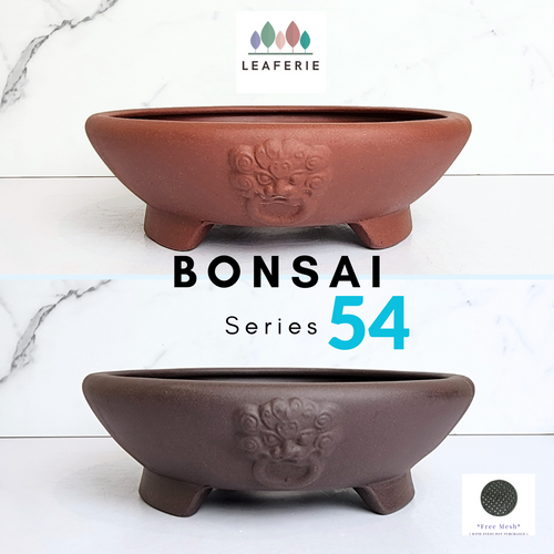 The Leaferie Bonsai Pots Series 54 . 2 colours round zisha pot with dragon face,