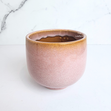 Load image into Gallery viewer, The Leaferie Hanska ceramic pot. 2 colours
