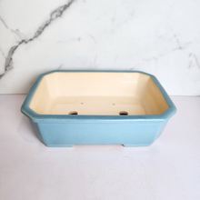 Load image into Gallery viewer, The Leaferie Rectangular bonsai pot. 2 colours ceramic material
