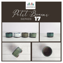 Load image into Gallery viewer, Petit Bonsai flowerpot (Series 17)
