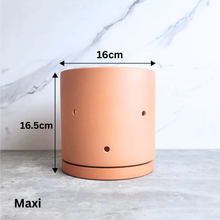 Load image into Gallery viewer, Terracotta Flowerpot G with Holes (3 sizes)
