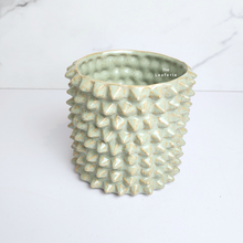 Load image into Gallery viewer, The Leaferie Kyllo spike ceramic flowerpot.
