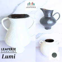 Load image into Gallery viewer, Lumi Flowerpot (Leaferie Signature)
