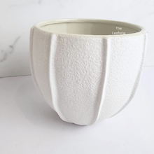 Load image into Gallery viewer, The Leaferie Pearl white ceramic pot
