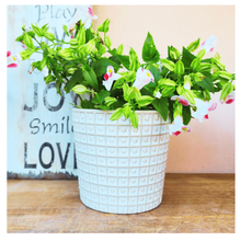 Load image into Gallery viewer, Patrice Flowerpot
