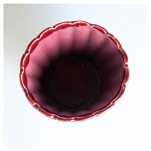 Load image into Gallery viewer, Solara red ribbed ceramic planter with 'LEAFERIE' flowerpot
