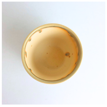 Load image into Gallery viewer, Leaferie Palma beige ceramic flowerpot
