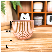 Load image into Gallery viewer, Petit Flowerpots (Series 5)
