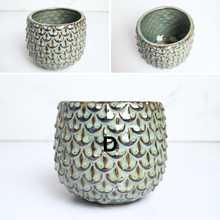 Load image into Gallery viewer, The Leaferie Petit pots series 16. 9 designs of ceramic pot . suitable for succulents
