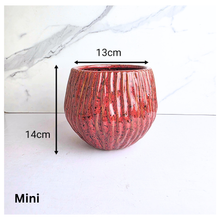 Load image into Gallery viewer, Calyra Flowerpot (2 sizes)
