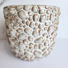 Load image into Gallery viewer, The Leaferie Gatsby Flowerpot. ceramic rock like pot
