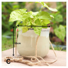 Load image into Gallery viewer, Lyon Hanging Flowerpot (Series 6)
