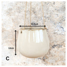 Load image into Gallery viewer, Lyon  Hanging Flowerpot (Series 10)
