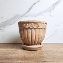 Load image into Gallery viewer, The Leaferie Philomel terracotta pot with tray.
