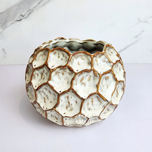 Load image into Gallery viewer, The Leaferie Gala planter. ceramic cream beige pot. front view
