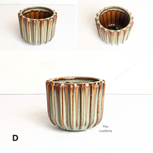 Load image into Gallery viewer, Petit Flowerpots (Series 19)
