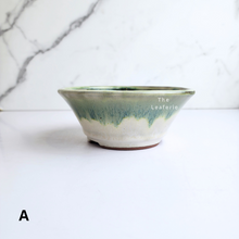 Load image into Gallery viewer, Bonsai Flowerpot (Series 51) 8 colours
