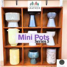 Load image into Gallery viewer, Mini Flowerpots (Series 5)
