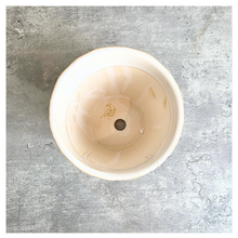 Load image into Gallery viewer, An off-white ceramic planter with a textured, embossed floral pattern, displayed on a gray stone surface against a white marble background. The brand name 'LEAFERIE' is visible at the top, and the product name 'Colette' is shown at the bottom left.
