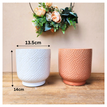 Load image into Gallery viewer, Bronagh Flowerpot
