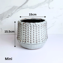 Load image into Gallery viewer, Jannike Flowerpot
