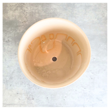 Load image into Gallery viewer, Marvelle Ceramic planter with green leaf pattern on a gray surface, branded 'LEAFAERIE'.
