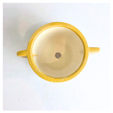 Load image into Gallery viewer, Axel Flowerpot
