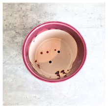 Load image into Gallery viewer, Zoya Pink ceramic pot with leaf pattern on a gray surface, branded 'LEAFERIE'.
