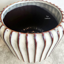 Load image into Gallery viewer, The Leaferie Aubert flowerpot. ceramic material
