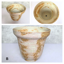 Load image into Gallery viewer, Elara Two ceramic pots with 'Elara' branding on a light background
