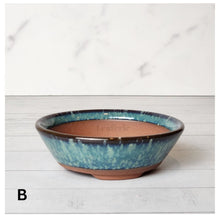 Load image into Gallery viewer, Petit Bonsai Flowerpot (Series 11)
