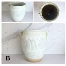 Load image into Gallery viewer, Anya Big Flowerpot (4 Designs)

