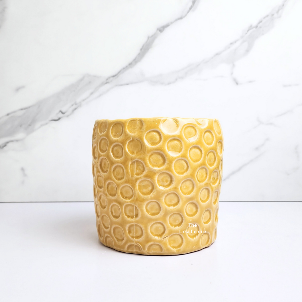 The Leaferie Puro yellow bee hive ceramic pot. 2 sizes