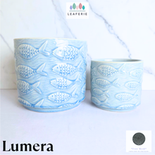 Load image into Gallery viewer, Lumera Flowerpot
