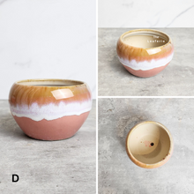 Load image into Gallery viewer, The Leaferie Petit Allegra Series 3 . 5 designs Pink pots
