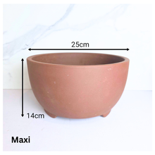 Load image into Gallery viewer, Reimi Bonsai Flowerpot (Series 5)
