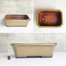 Load image into Gallery viewer, Petit Bonsai Flowerpot (Series 4) Rectangular
