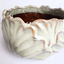 Load image into Gallery viewer, The Leaferie Kolden Shallow pot. ceramic material and beige colour.
