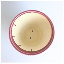 Load image into Gallery viewer, Leaferie calira red flowerpot ceramic pot
