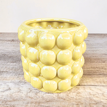 Load image into Gallery viewer, Sorcha Flowerpot
