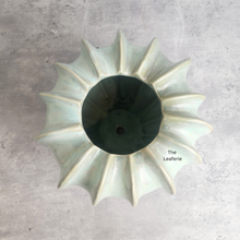 Load image into Gallery viewer, The Leaferie Mossen green ceramic pot. 
