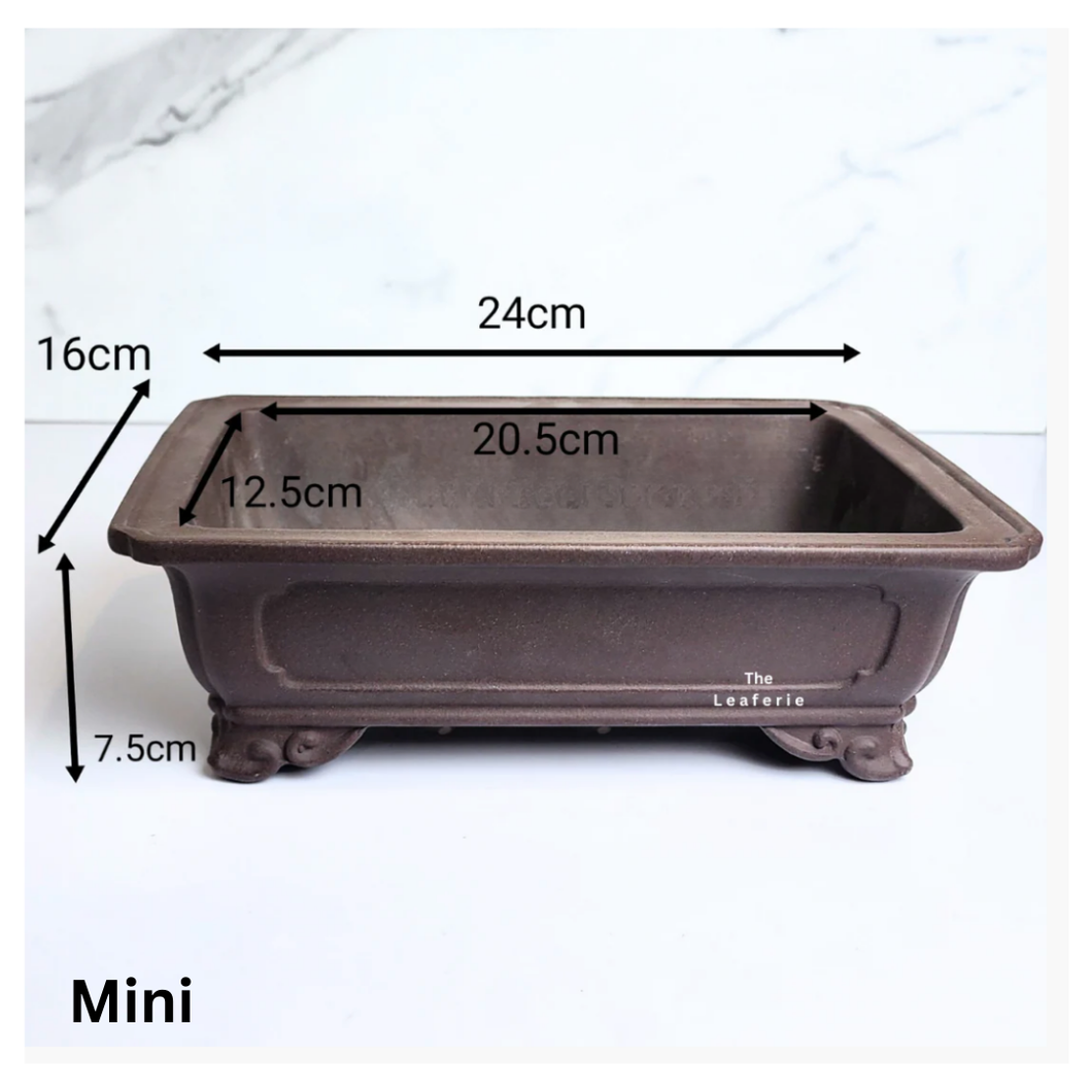 Bonsai Tally (Series 6) Rectangular Flowerpot