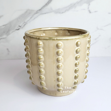 Load image into Gallery viewer, The Leaferie Lindy planter. 2 colours beige and green. ceramic planter. view of Pot B

