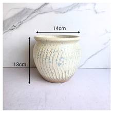 Load image into Gallery viewer, The Leaferie Astra pot . 4 colors. ceramic pot.
