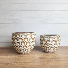 Load image into Gallery viewer, The Leaferie Sen Flowerpot . 2 sizes beige ceramic pot.
