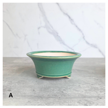 Load image into Gallery viewer, Bonsai series 96 ceramic bonsai pots with 'Leaferie' branding and '96 Bonsai' 
