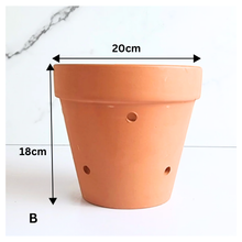 Load image into Gallery viewer, HANNA Terracotta Flowerpot with Holes (Tall) 6 sizes
