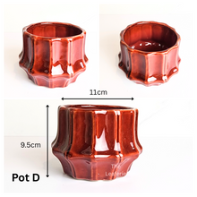 Load image into Gallery viewer, Mini Flowerpots (Series 10) 10cm
