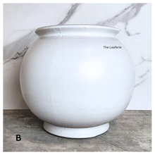 Load image into Gallery viewer, The Leaferie Aalto round green and white ceramic flowerpot. 
