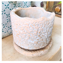 Load image into Gallery viewer, Yonina Flowerpot
